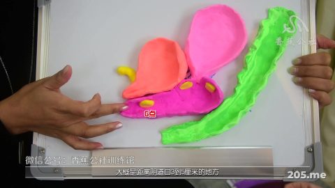 1.为什么我做爱从未高潮过 2.性自我深度整合——是谁偷走了我的性快感 3.情欲探索模式——到底怎样才能让自己兴奋起来 4.性兴奋点偏差——…